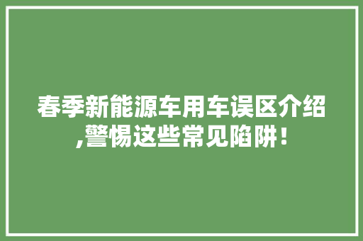 春季新能源车用车误区介绍,警惕这些常见陷阱！ 车灯配件