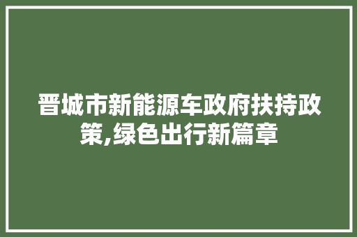 晋城市新能源车政府扶持政策,绿色出行新篇章