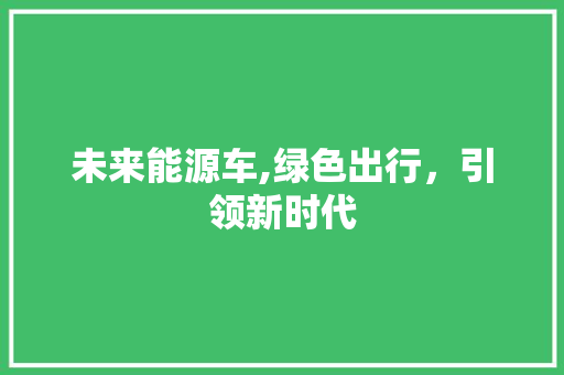 未来能源车,绿色出行，引领新时代