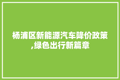 杨浦区新能源汽车降价政策,绿色出行新篇章