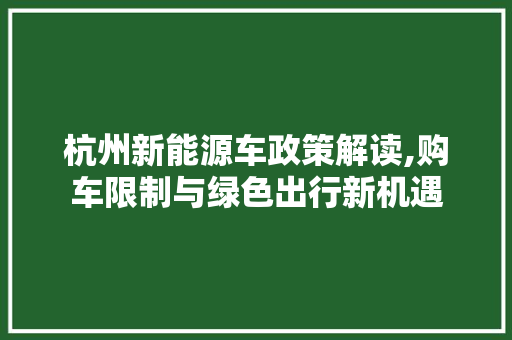 杭州新能源车政策解读,购车限制与绿色出行新机遇