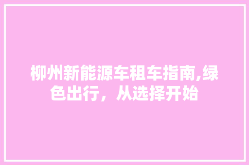 柳州新能源车租车指南,绿色出行，从选择开始