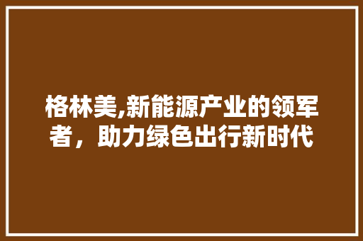 格林美,新能源产业的领军者，助力绿色出行新时代