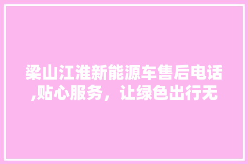 梁山江淮新能源车售后电话,贴心服务，让绿色出行无忧