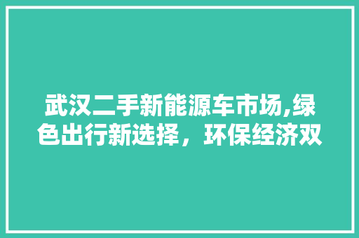 武汉二手新能源车市场,绿色出行新选择，环保经济双赢 发动机配件
