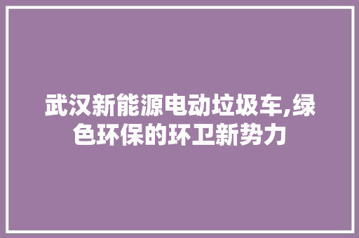武汉新能源电动垃圾车,绿色环保的环卫新势力