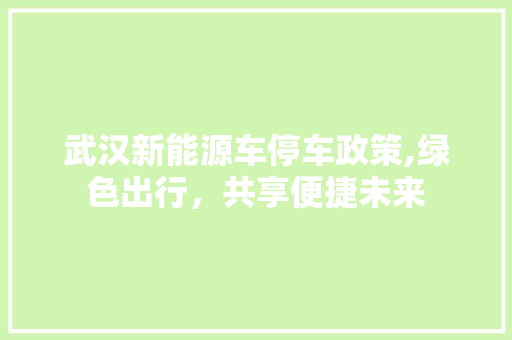 武汉新能源车停车政策,绿色出行，共享便捷未来 车身配件