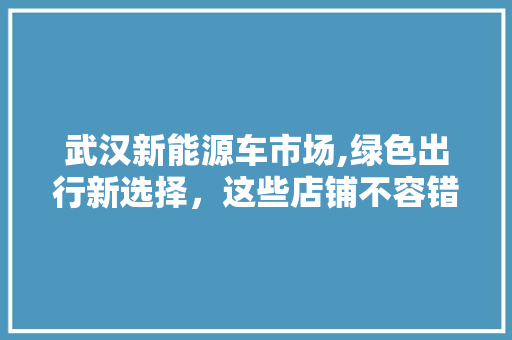 武汉新能源车市场,绿色出行新选择，这些店铺不容错过