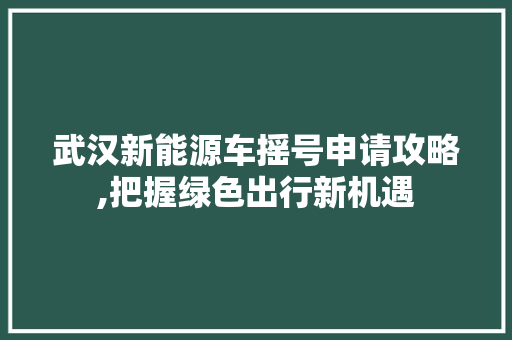 武汉新能源车摇号申请攻略,把握绿色出行新机遇