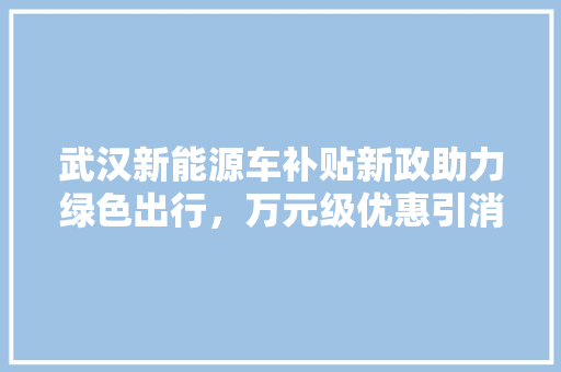 武汉新能源车补贴新政助力绿色出行，万元级优惠引消费者关注 蓄电池配件