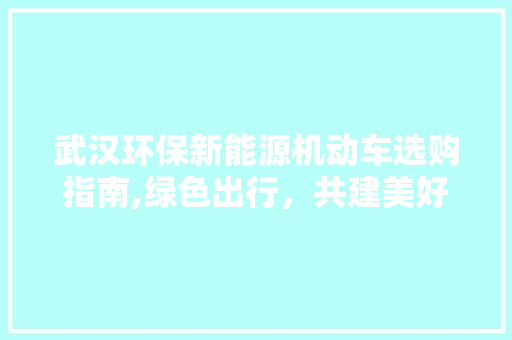 武汉环保新能源机动车选购指南,绿色出行，共建美好家园