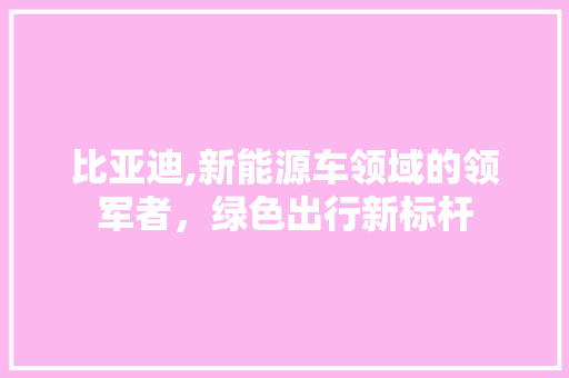 比亚迪,新能源车领域的领军者，绿色出行新标杆 变速箱配件