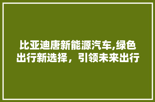 比亚迪唐新能源汽车,绿色出行新选择，引领未来出行潮流