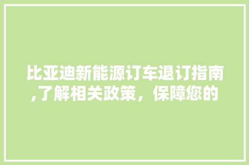 比亚迪新能源订车退订指南,了解相关政策，保障您的权益