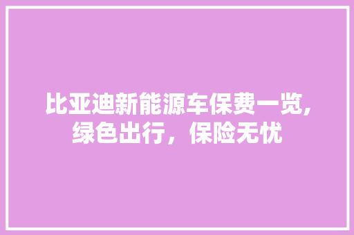 比亚迪新能源车保费一览,绿色出行，保险无忧