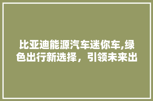 比亚迪能源汽车迷你车,绿色出行新选择，引领未来出行潮流