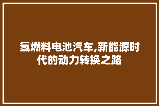 氢燃料电池汽车,新能源时代的动力转换之路