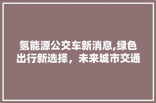 氢能源公交车新消息,绿色出行新选择，未来城市交通新篇章