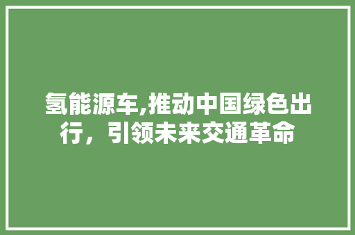 氢能源车,推动中国绿色出行，引领未来交通革命