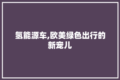 氢能源车,欧美绿色出行的新宠儿