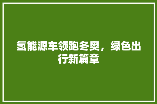氢能源车领跑冬奥，绿色出行新篇章