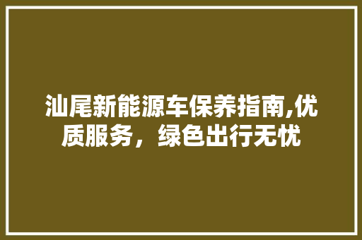 汕尾新能源车保养指南,优质服务，绿色出行无忧