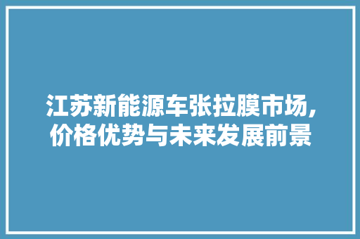 江苏新能源车张拉膜市场,价格优势与未来发展前景