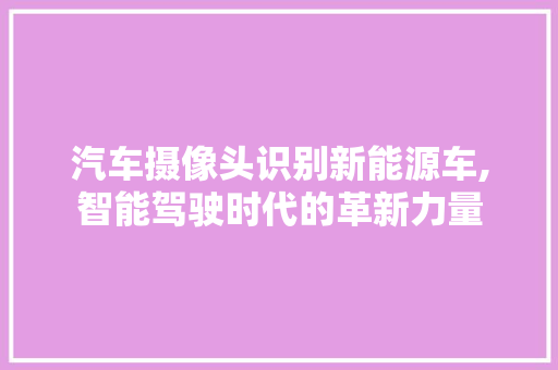 汽车摄像头识别新能源车,智能驾驶时代的革新力量