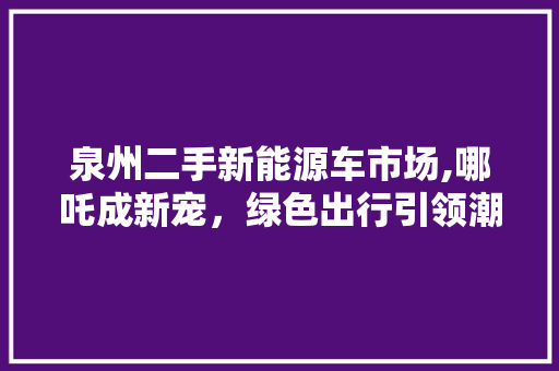 泉州二手新能源车市场,哪吒成新宠，绿色出行引领潮流