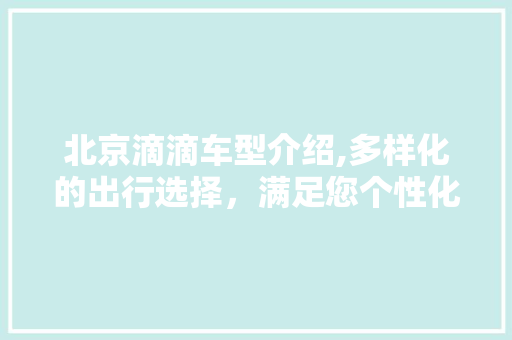 北京滴滴车型介绍,多样化的出行选择，满足您个性化需求