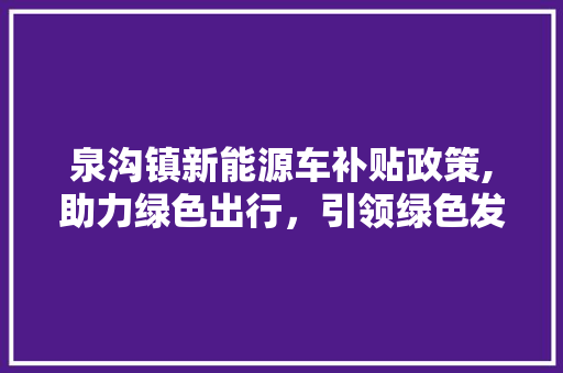 泉沟镇新能源车补贴政策,助力绿色出行，引领绿色发展新风尚 蓄电池配件