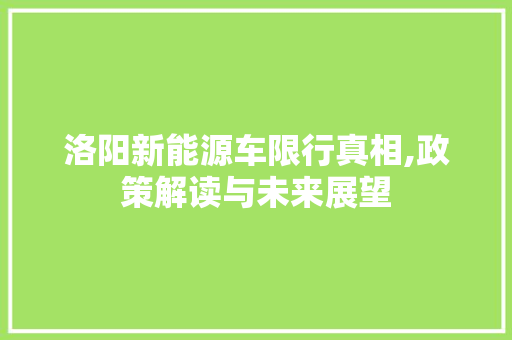 洛阳新能源车限行真相,政策解读与未来展望