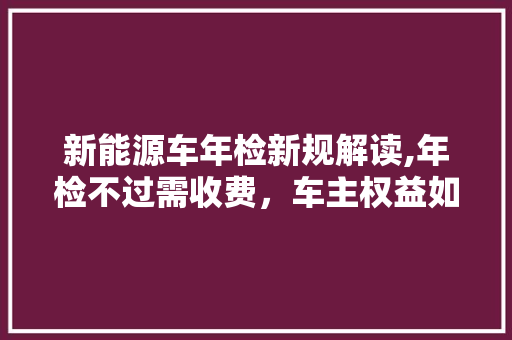 新能源车年检新规解读,年检不过需收费，车主权益如何保障 新款车型