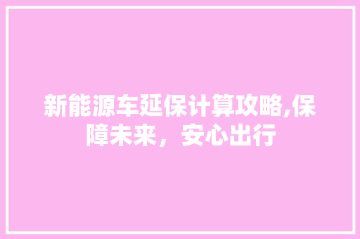 新能源车延保计算攻略,保障未来，安心出行