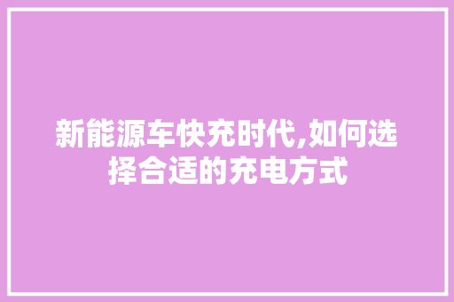 新能源车快充时代,如何选择合适的充电方式 汽车配件