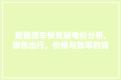 新能源车快充站电价分析,绿色出行，价格与效率的完美结合 新能源汽车