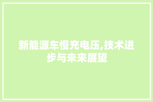 新能源车慢充电压,技术进步与未来展望