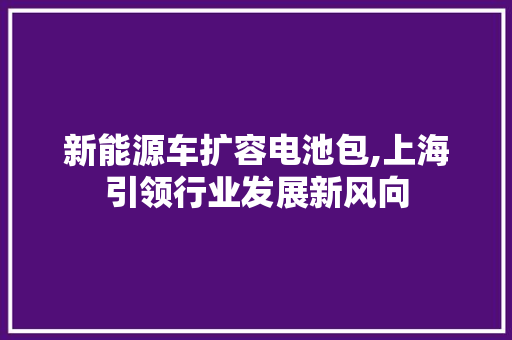 新能源车扩容电池包,上海引领行业发展新风向