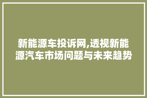 新能源车投诉网,透视新能源汽车市场问题与未来趋势