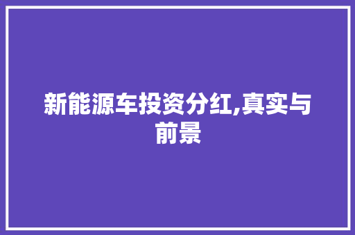新能源车投资分红,真实与前景