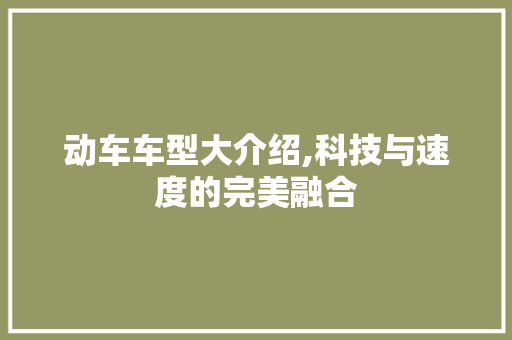 动车车型大介绍,科技与速度的完美融合