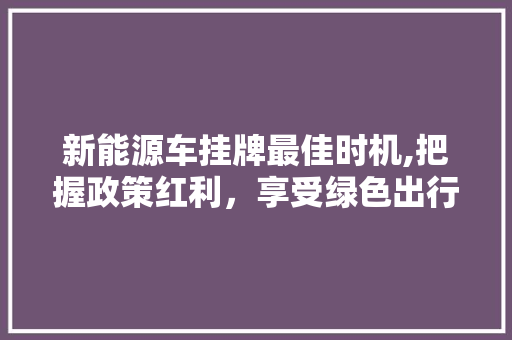 新能源车挂牌最佳时机,把握政策红利，享受绿色出行