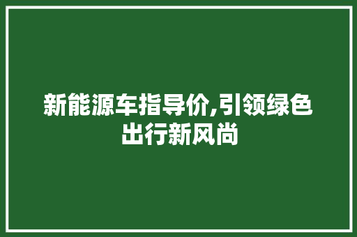 新能源车指导价,引领绿色出行新风尚