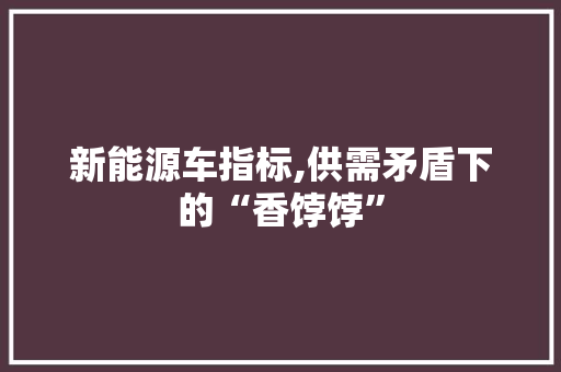 新能源车指标,供需矛盾下的“香饽饽”