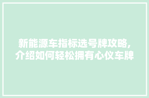 新能源车指标选号牌攻略,介绍如何轻松拥有心仪车牌