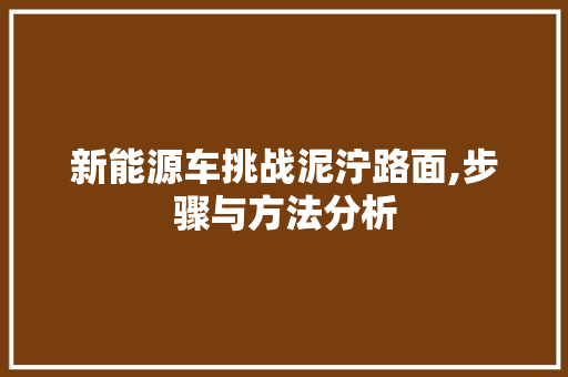 新能源车挑战泥泞路面,步骤与方法分析