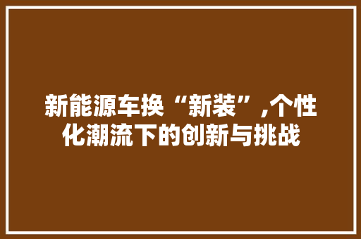 新能源车换“新装”,个性化潮流下的创新与挑战