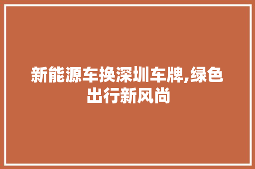 新能源车换深圳车牌,绿色出行新风尚 蓄电池配件