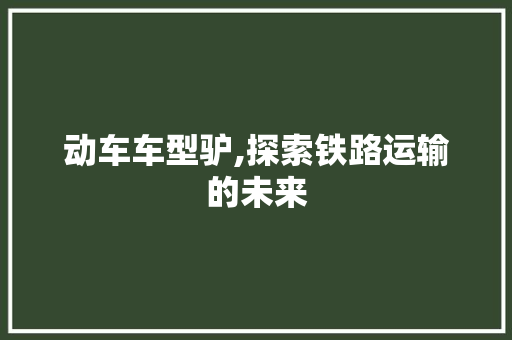 动车车型驴,探索铁路运输的未来