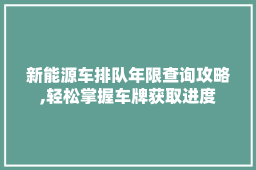 新能源车排队年限查询攻略,轻松掌握车牌获取进度